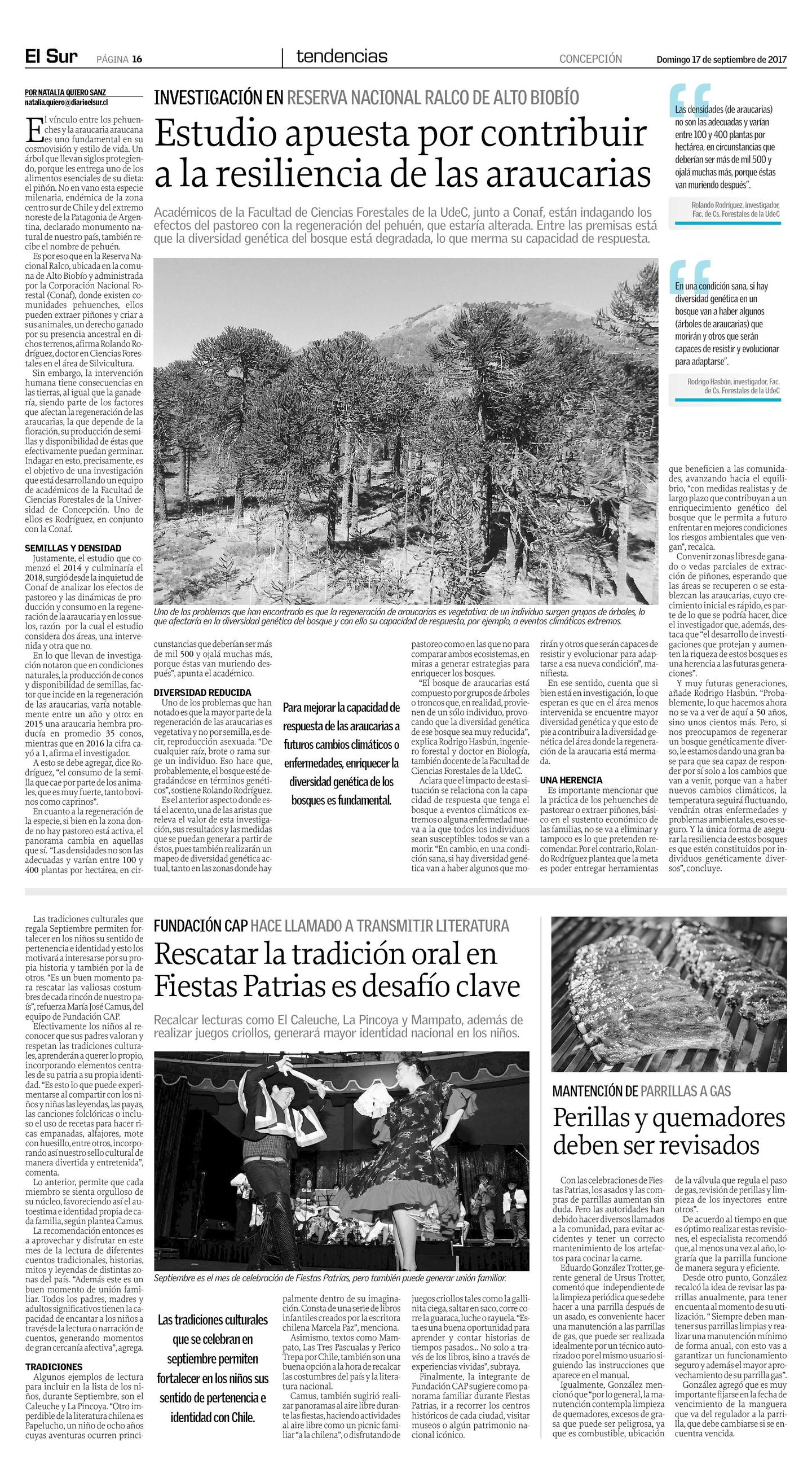 Diario El Sur, Tendencias, domingo 17 de septiembre de 2017