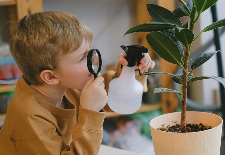Sugerencias para niños en edad preescolar y primeros años de básica: Las vacaciones invitan a descansar de las actividades escolares, pero no del aprendizaje | El Mercurio
